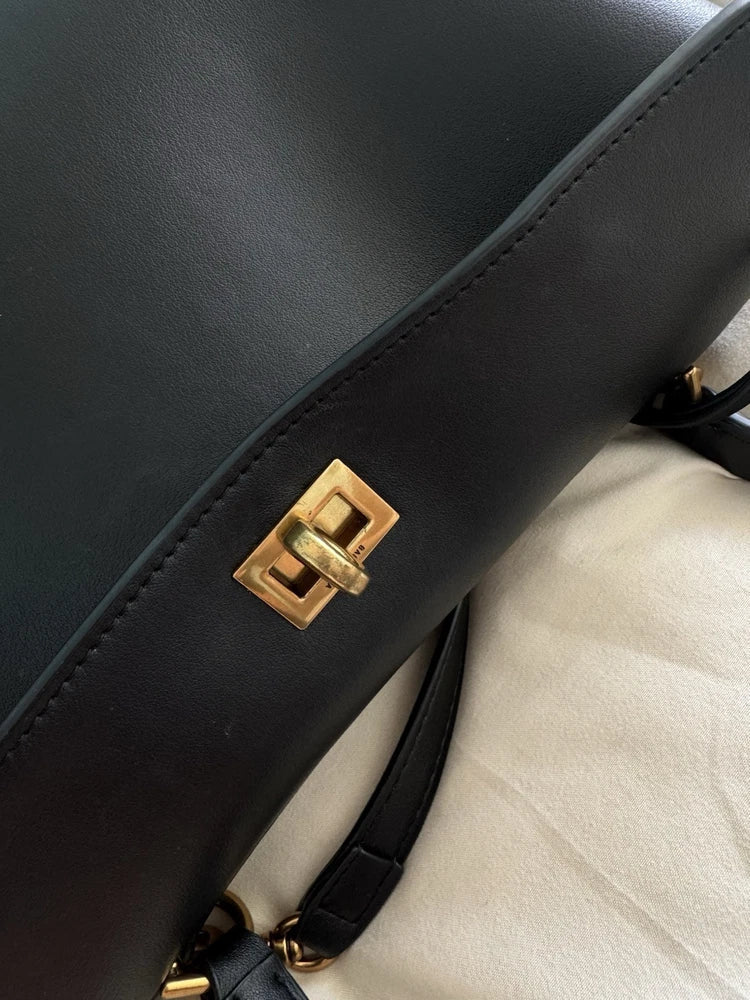 🌺🩷 Rodeo Small Top Handle Bag in Black🪻🍃 🤎🌆