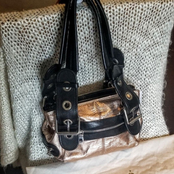 🌺🩷 Chloe Metallic Calfskin Tote🖤🍫 🤎🌆